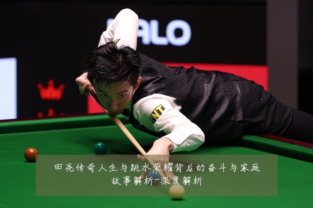 田亮传奇人生与跳水荣耀背后的奋斗与家庭故事解析-深度解析